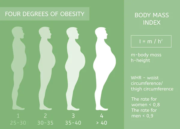 Etapas de obesidad. Índice de masa corporal. Infografías — Vector de stock