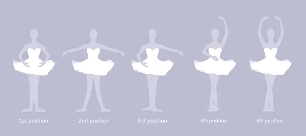 Chica bailarina realiza las cinco posiciones básicas de ballet — Vector de stock
