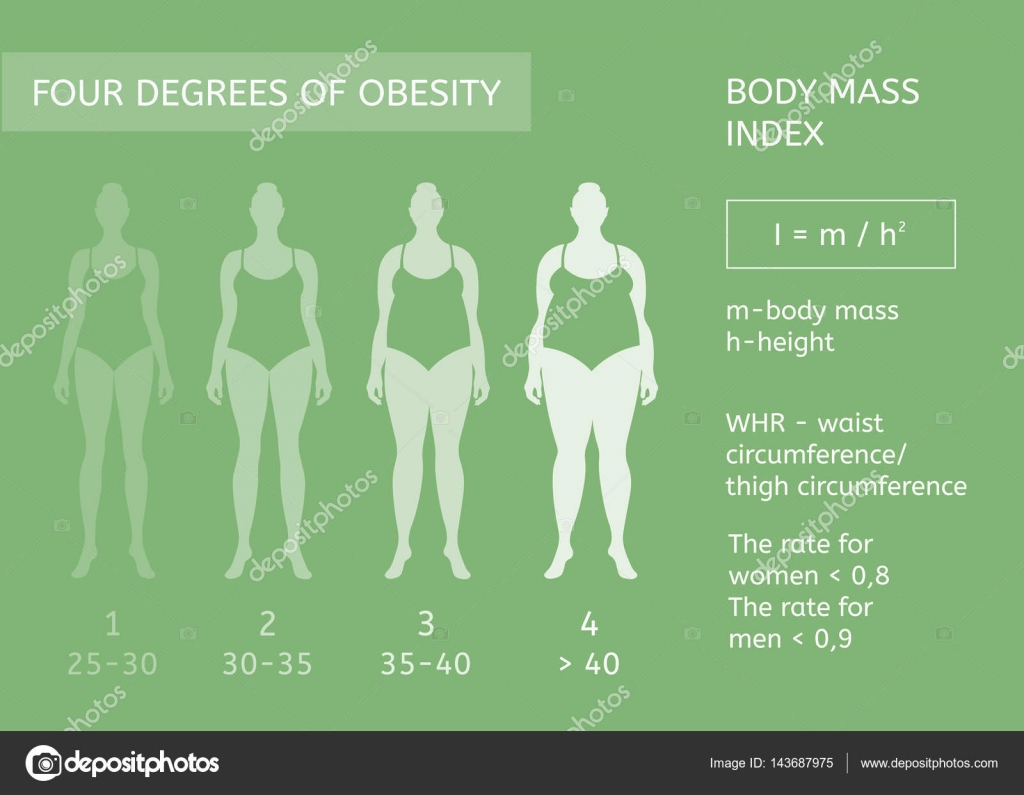 Индекс массы тела собаки. Индекс массы тела. ИМТ инфографика. Стадии ожирения. Женская фигура инфографика.