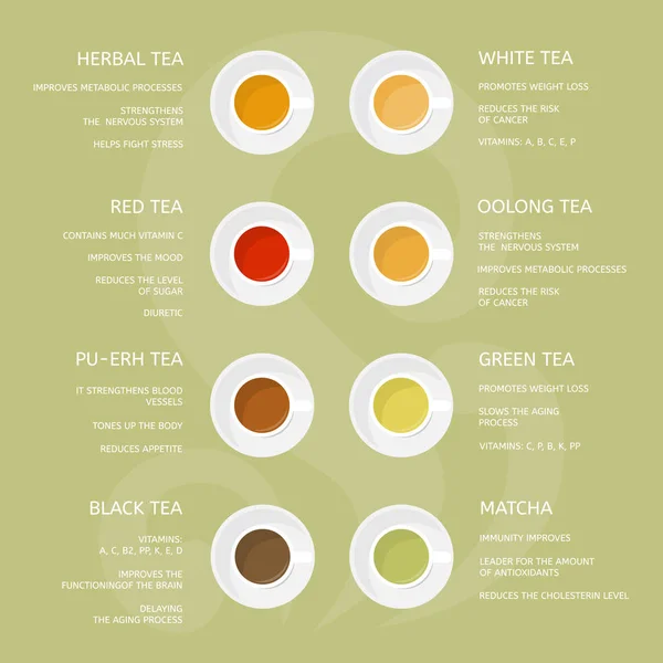 Види чаю: зелений, білий, червоний, мача, чорний, трав'яний, олонний. Корисні властивості різних чаїв — стоковий вектор