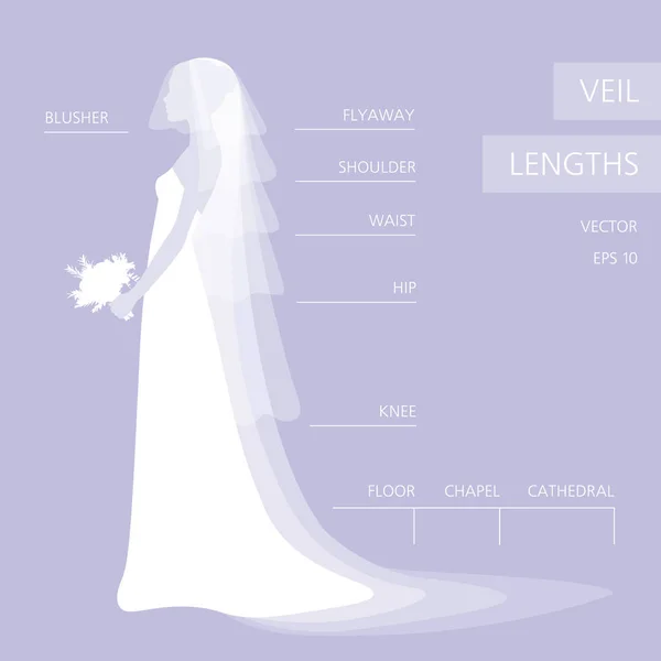 Casamento Véu Comprimentos. Modelos diferentes. Bela noiva no perfil. Infográficos — Vetor de Stock