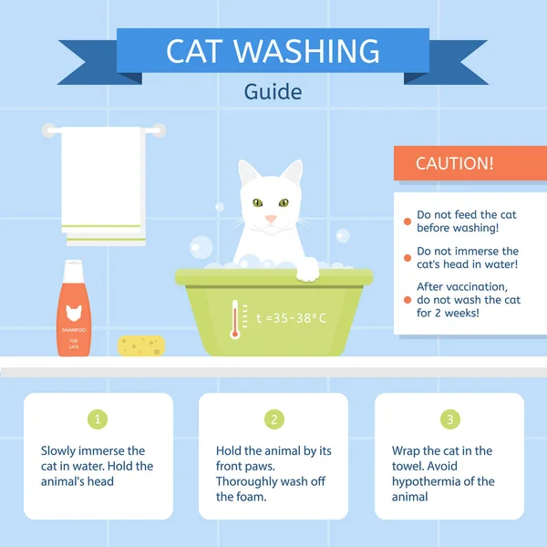 A cat sits in a washbowl on the blue background. Instructions for cleaning animals. — Stock Vector