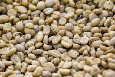 kahve çekirdekleri dağınık