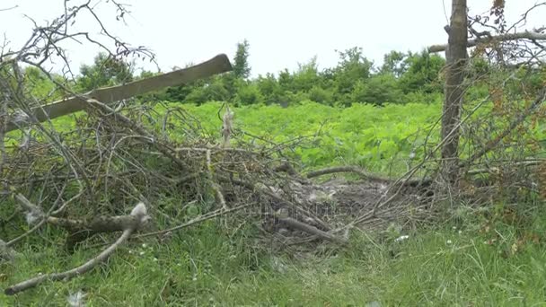 Travailleurs traversant une clôture cassée — Video