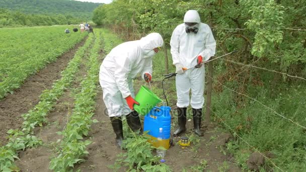 Pracowników, przygotowanie herbicyd do roślin w dziedzinie — Wideo stockowe