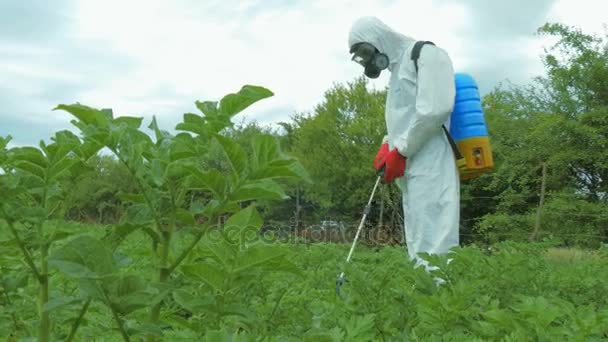 Man sproeien van pesticiden in tuin — Stockvideo