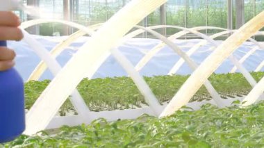 sera sulama tesislerinde çalışan