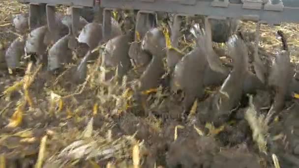 Traktor odla marken i agro fält — Stockvideo