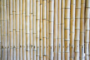 Japon bambu arka plan 