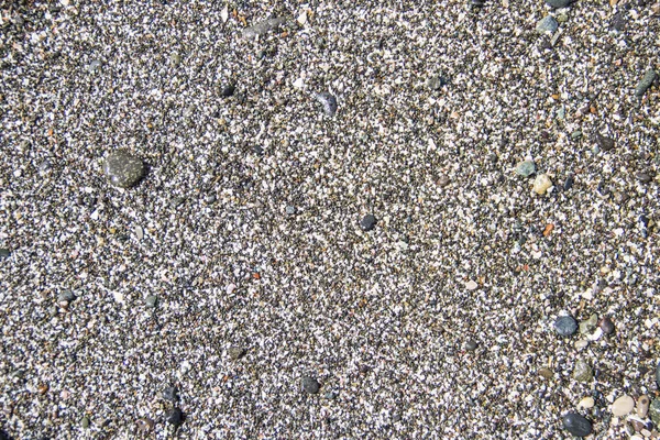 Dry round pebble stones — Stock Photo, Image