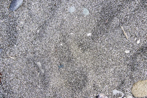 Сухие камни в песке — стоковое фото