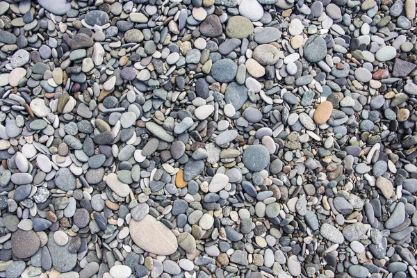 Pedras de seixo redondas secas — Fotografia de Stock