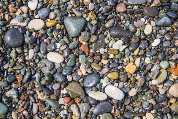 Dry round pebble stones — Stock Photo, Image