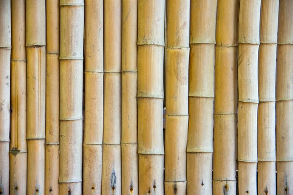 Japanse bamboe achtergrond — Stockfoto