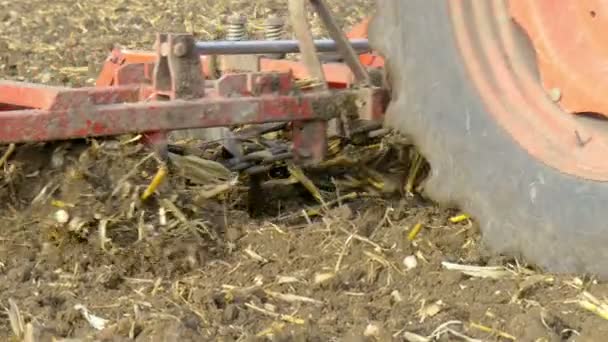 Tractor cultivating ground of agro field — Stock Video