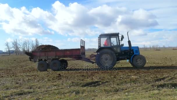 Hombre trabajador en tractor — Vídeo de stock