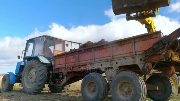 Hombre trabajador en tractor — Vídeos de Stock