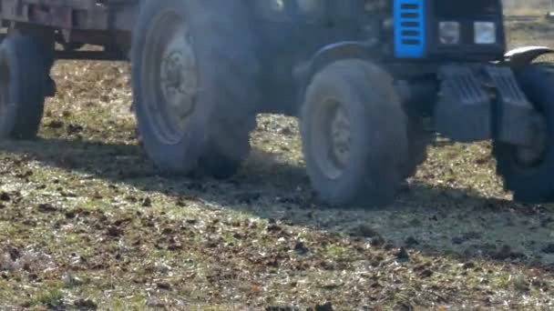 Trabalhador masculino no tractor — Vídeo de Stock