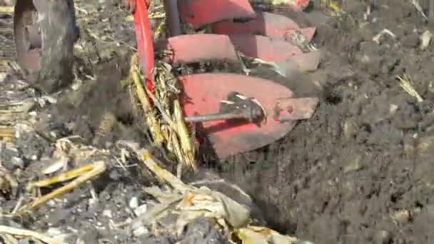 トラクターの耕起フィールド — ストック動画