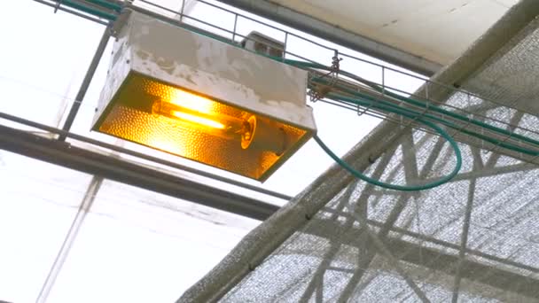 温室効果で光建設 — ストック動画