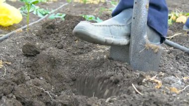 işçi dikim yeşillik ile kürek