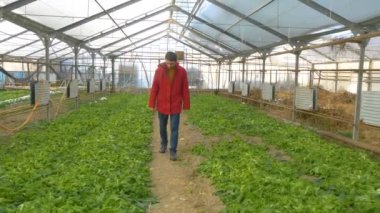 soğuk kış bitkilerden zarar