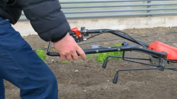 Traktor talaj ápolása az üvegházhatású — Stock videók