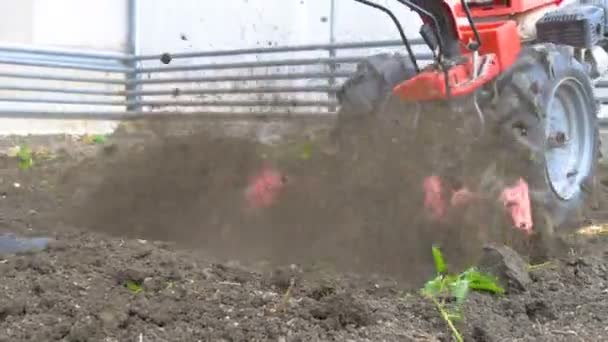 Traktor talaj ápolása az üvegházhatású — Stock videók