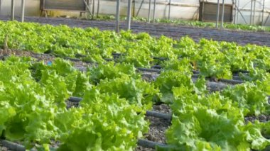 Sera içinde çalışma adam