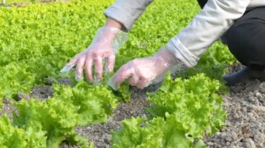 Serada çalışan kişi