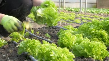 Serada çalışan kişi