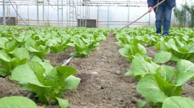 Sera içinde çalışma adam