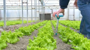 Serada çalışan kişi