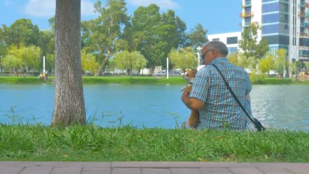 Hane Med Hund Koppla Nära Havet Grön Park Batumi Georgien — Stockvideo