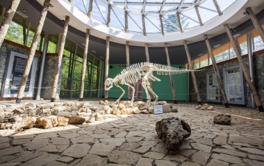 dinazor iskeleti Satürn Bayramı, Gürcistan