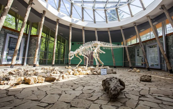 dinazor iskeleti Satürn Bayramı, Gürcistan