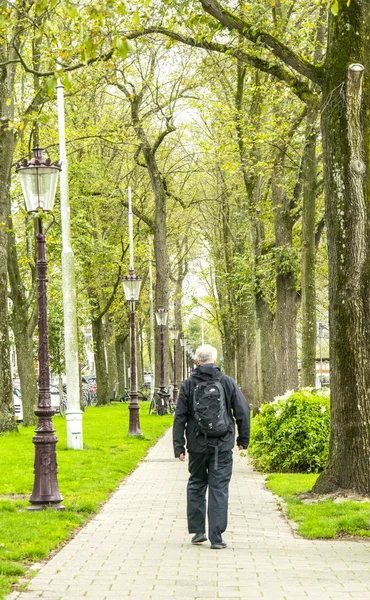 アムステルダムのアムステルダム オランダ 月年頃 2017 美しい路地 — ストック写真