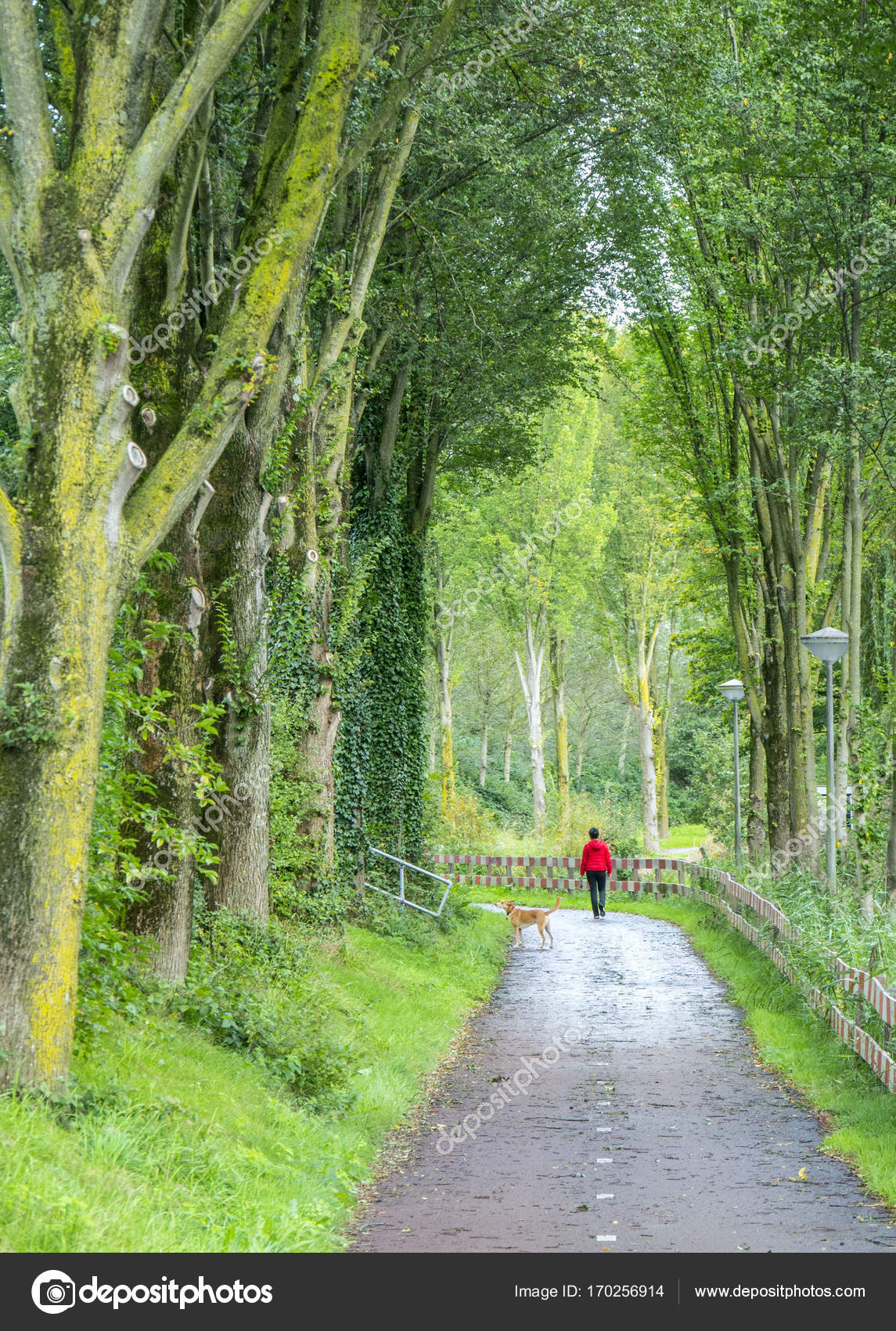 Camino en el jardín, el parque en segundo plano. — Foto de stock