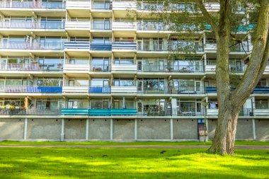 Amsterdam'da yeşil Şehir Parkı