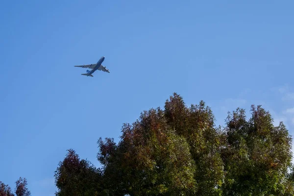 Flying plane in  sky — Stock Photo, Image