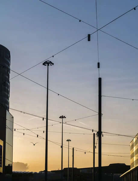Byggnader Gatan Amsterdam Vid Solnedgång — Stockfoto