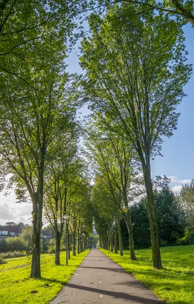 Zelené městský park v Amsterdamu — Stock fotografie