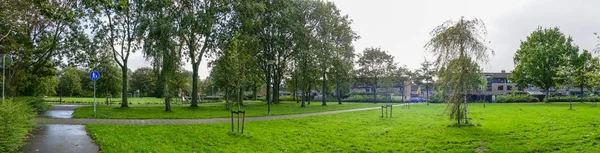 Green city park in Amsterdam