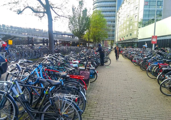 People at Amsterdam bycicles parking — Stock Photo, Image