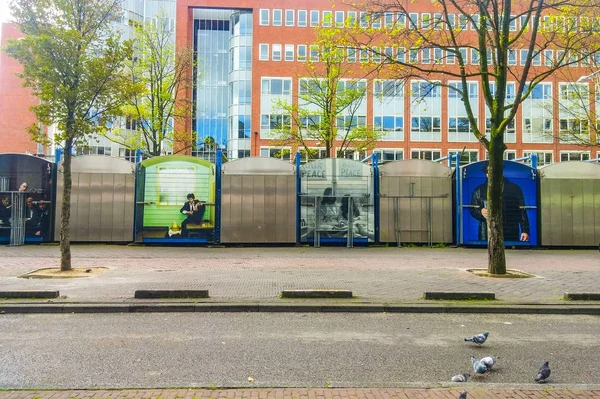 Amsterdam Nederländerna Januari Circa 2017 Graffiti Gatan Amsterdam Gatukonst — Stockfoto