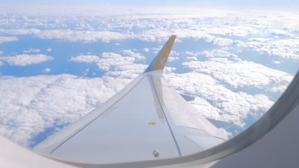 旅客は 飛行機 青い空と白い雲と一日の時間に座って窓の近くで旅行します — ストック動画