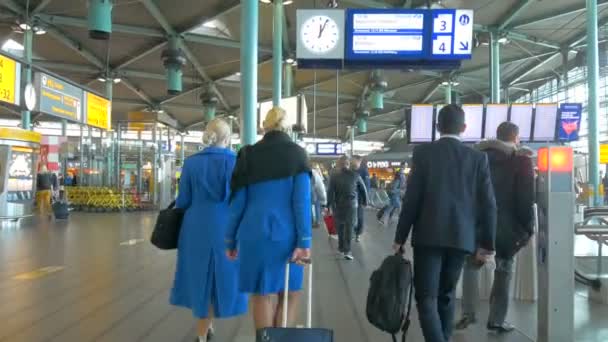 Mensen Lopen Internationale Luchthaven Van Amsterdam — Stockvideo