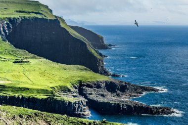 Cliff, Mykines, Faroe Adaları