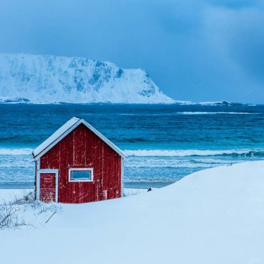 Rorbu House, plaj, Lofoten, Norveç