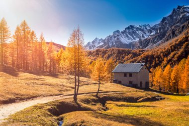 Alplerde Sonbahar ( Alpe Devero )